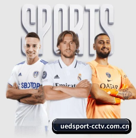 国际化进程 - UED